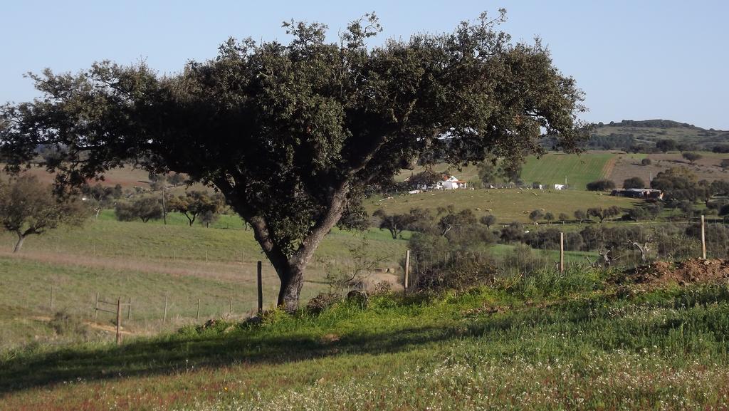 فيلا Casa Da Comadre - Casas De Taipa São Pedro do Corval الغرفة الصورة