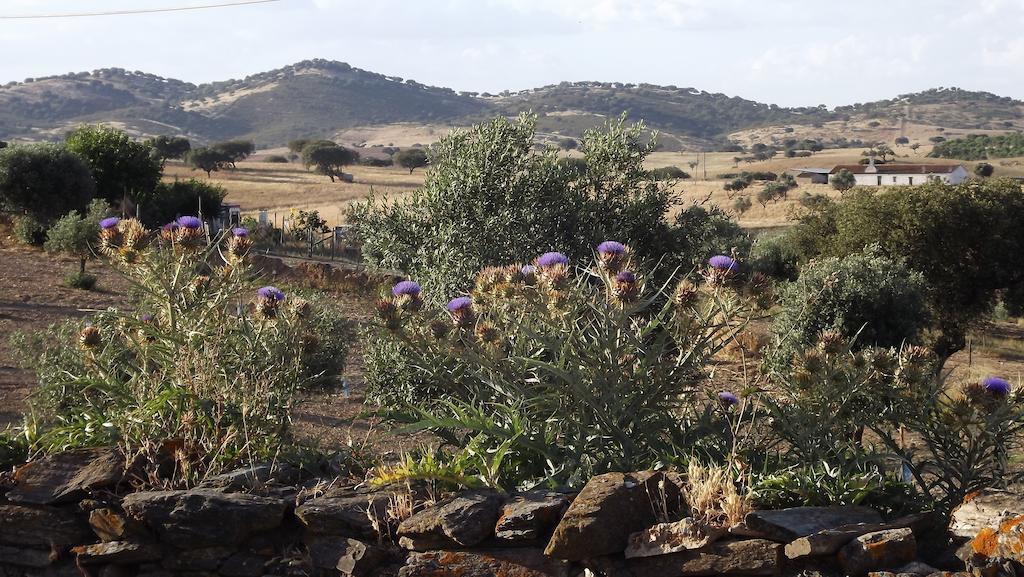 فيلا Casa Da Comadre - Casas De Taipa São Pedro do Corval الغرفة الصورة